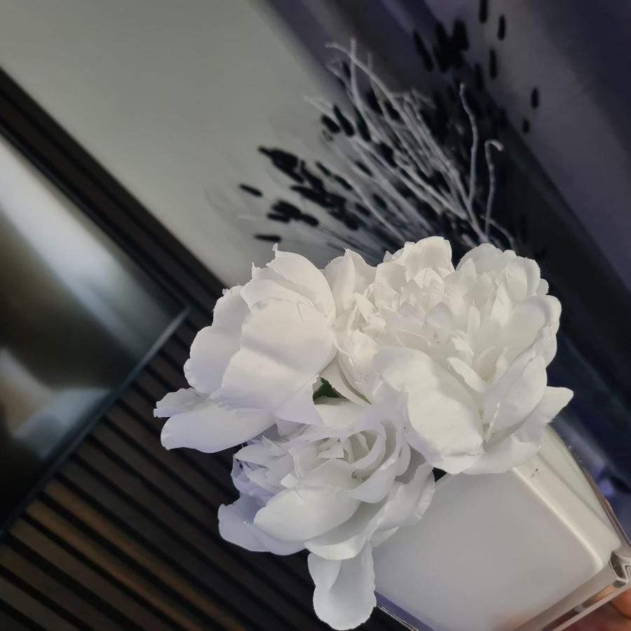 Luxury 9Ine Penthouse With Garden & Jacuzzi Apartamento Birmingham Exterior foto